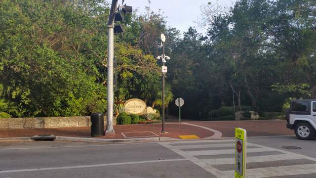 Pedestrian crosswalk next to traffic light in Coconut Grove, Florida.