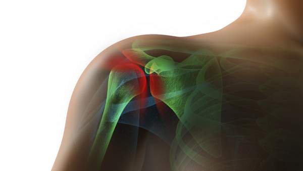 Human shoulder. proximal humerus and humeral head. scapula and clavicle color image. ribs.