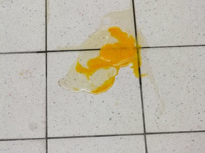 Egg on tiled floor