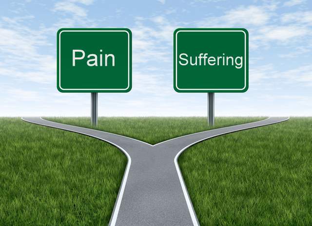 Image result for pain and suffering justinziegler.net