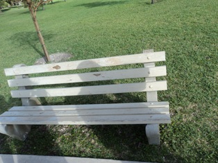 Bench at Falls of Inverrary Condominium Association in Lauderhill, Broward County, Florida