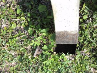 Unsecured bench leg at park sticking out of ground (grass).