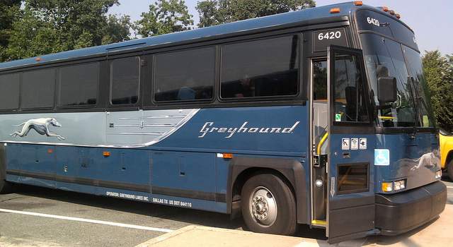 Greyhound bus