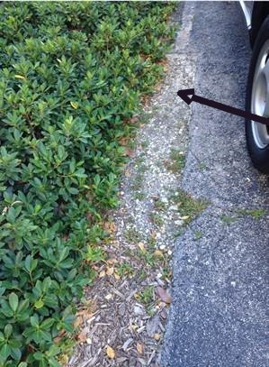 Office building missing pavement in parking space. Trip and fall hazard. Coral Gables, Miami-Dade County, Florida.