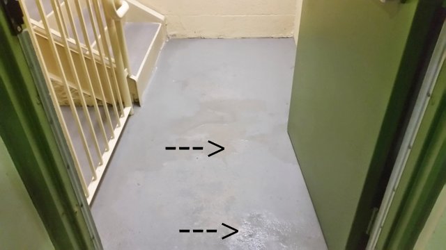Water in the entrance to a Stairwell at a Condominium