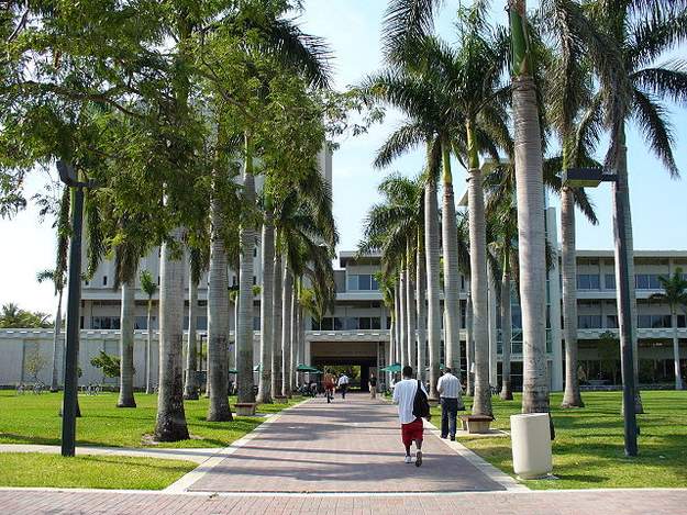 University of Miami 