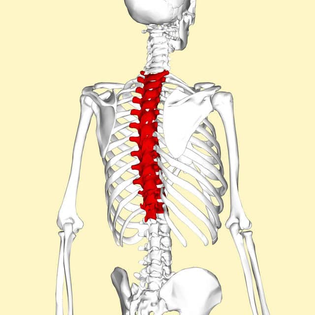 Fractured Sternum Compensation Commerce thumbnail