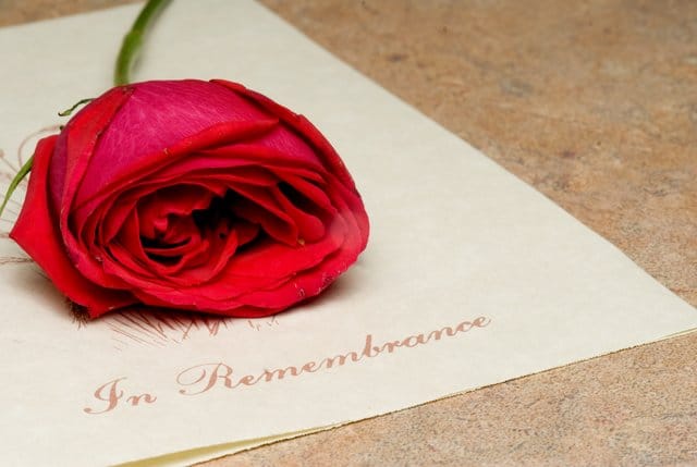 A funeral bulletin with a single red rose.