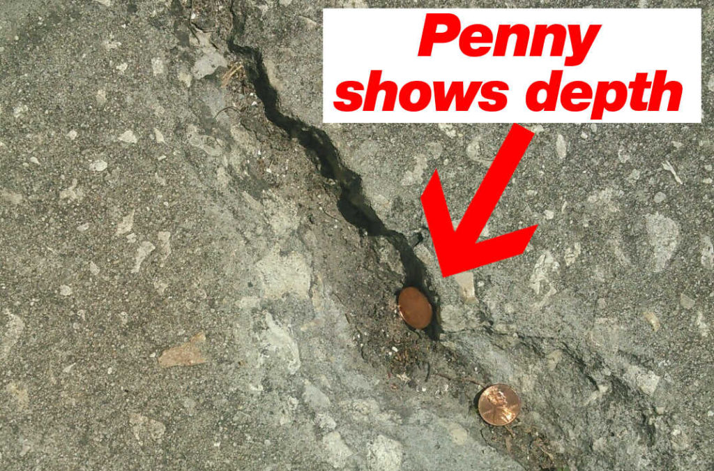 penny shows depth of the crack in the pavement that lady said she rolled her ankle and fell on