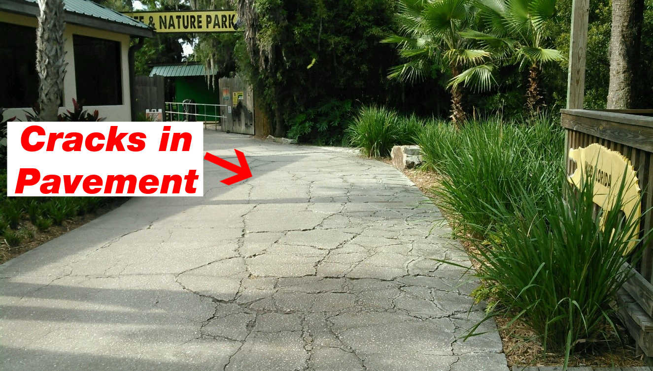 crack in the pavement walkway at private nature park in Osceola County, Florida